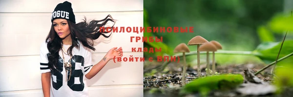 гашик Аркадак