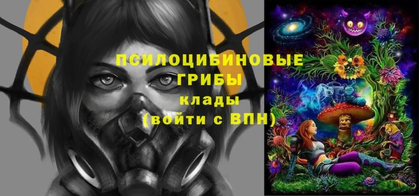 винт Арсеньев