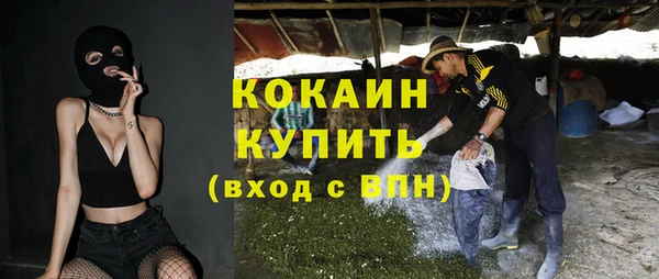 гашик Аркадак