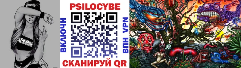 закладка  Сорск  Псилоцибиновые грибы мицелий 